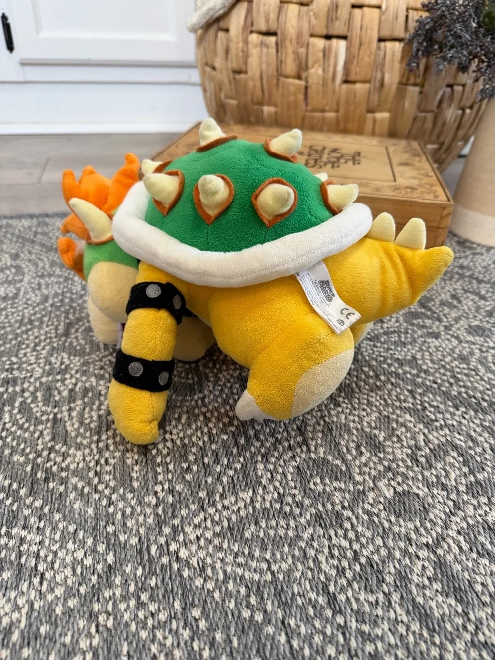 Super Mario Bros Series 10